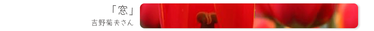 窓