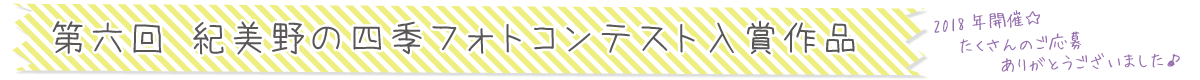 紀美野町フォトコンテスト