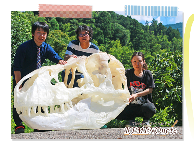 アンフィ合同会社